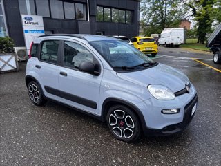 FIAT Panda 1.0 firefly hybrid City Life s&s 70cv 5p.ti