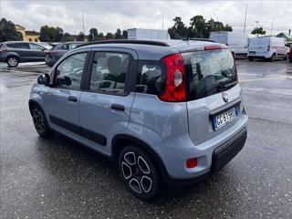 FIAT Panda 1.0 firefly hybrid City Life s&s 70cv 5p.ti