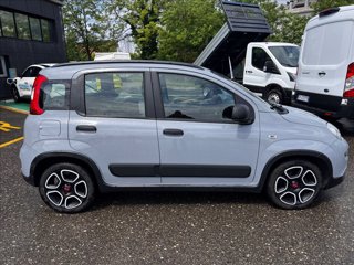 FIAT Panda 1.0 firefly hybrid City Life s&s 70cv 5p.ti
