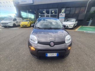 FIAT Panda 1.0 firefly hybrid City Life s&s 70cv 5p.ti