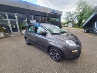 FIAT Panda 1.0 firefly hybrid City Life s&s 70cv 5p.ti
