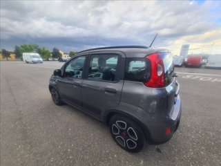 FIAT Panda 1.0 firefly hybrid City Life s&s 70cv 5p.ti
