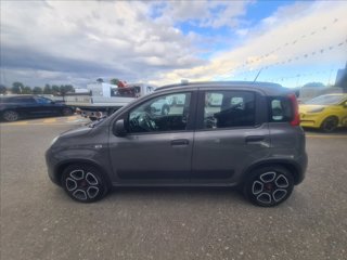 FIAT Panda 1.0 firefly hybrid City Life s&s 70cv 5p.ti