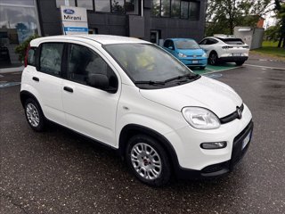 FIAT Panda 1.0 firefly hybrid s&s 70cv 5p.ti