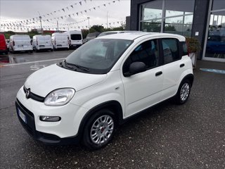 FIAT Panda 1.0 firefly hybrid s&s 70cv 5p.ti