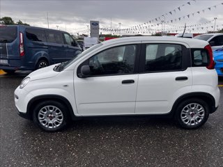 FIAT Panda 1.0 firefly hybrid s&s 70cv 5p.ti