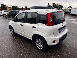 FIAT Panda 1.0 firefly hybrid s&s 70cv 5p.ti