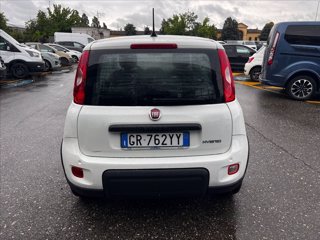 FIAT Panda 1.0 firefly hybrid s&s 70cv 5p.ti