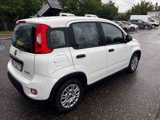 FIAT Panda 1.0 firefly hybrid s&s 70cv 5p.ti