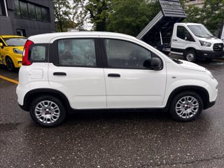 FIAT Panda 1.0 firefly hybrid s&s 70cv 5p.ti