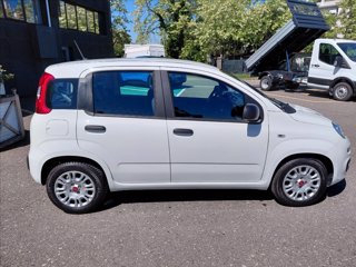 FIAT Panda 1.0 hybrid Easy s&s 70cv