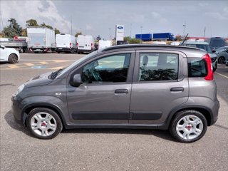 FIAT Panda 1.0 firefly hybrid City Life s&s 70cv