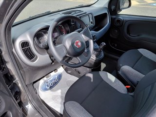 FIAT Panda 1.0 firefly hybrid City Life s&s 70cv