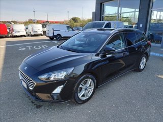 FORD Focus SW 1.5 ecoblue Business s&s 120cv