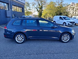 VOLKSWAGEN Golf Variant 1.6 tdi Business 115cv